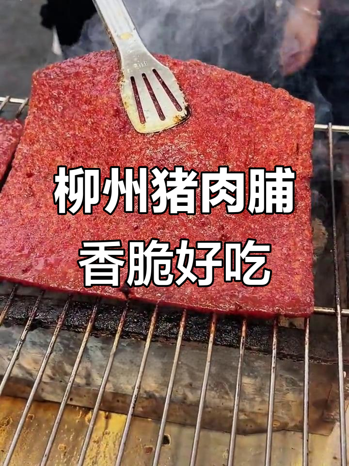 柳州特产猪肉脯,孜然香味让人无法抗拒,纯肉无防腐剂