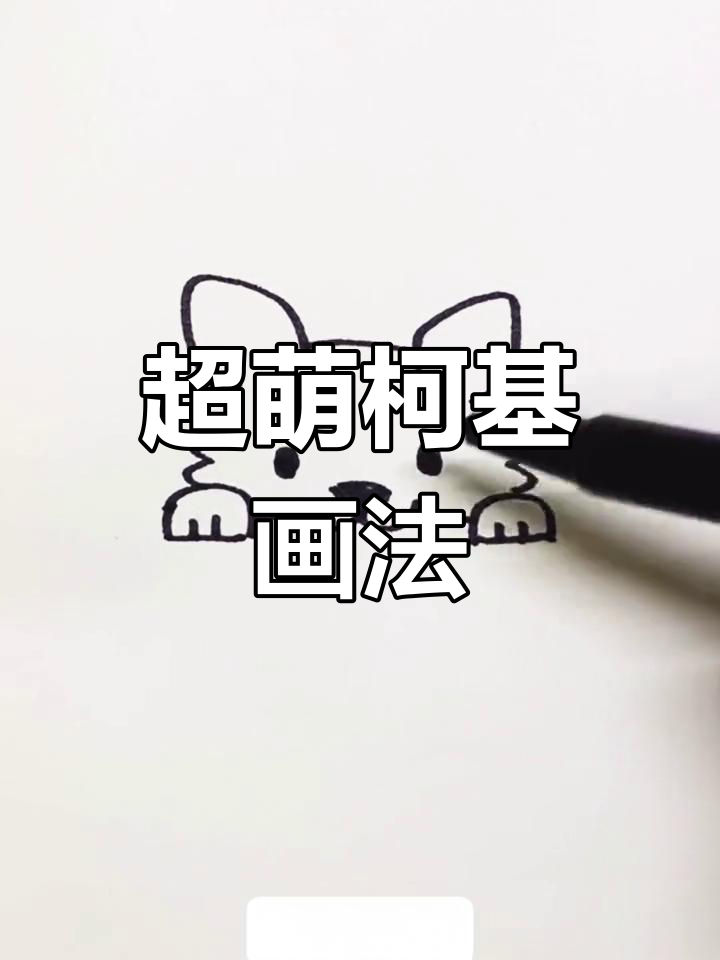 柯基狗狗简笔画教程