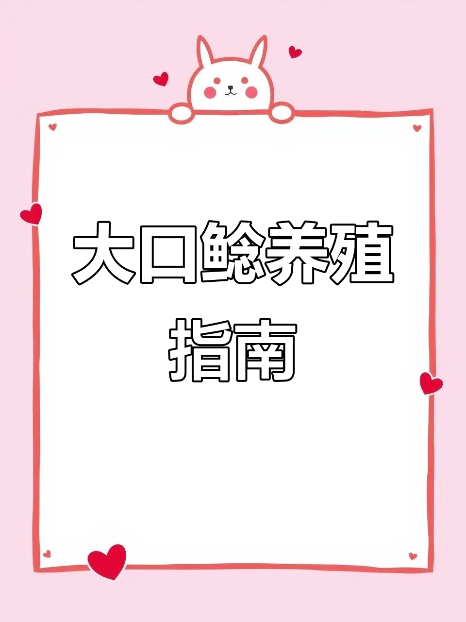 大口鲶易养,生长迅速,不挑环境,适合新手养殖