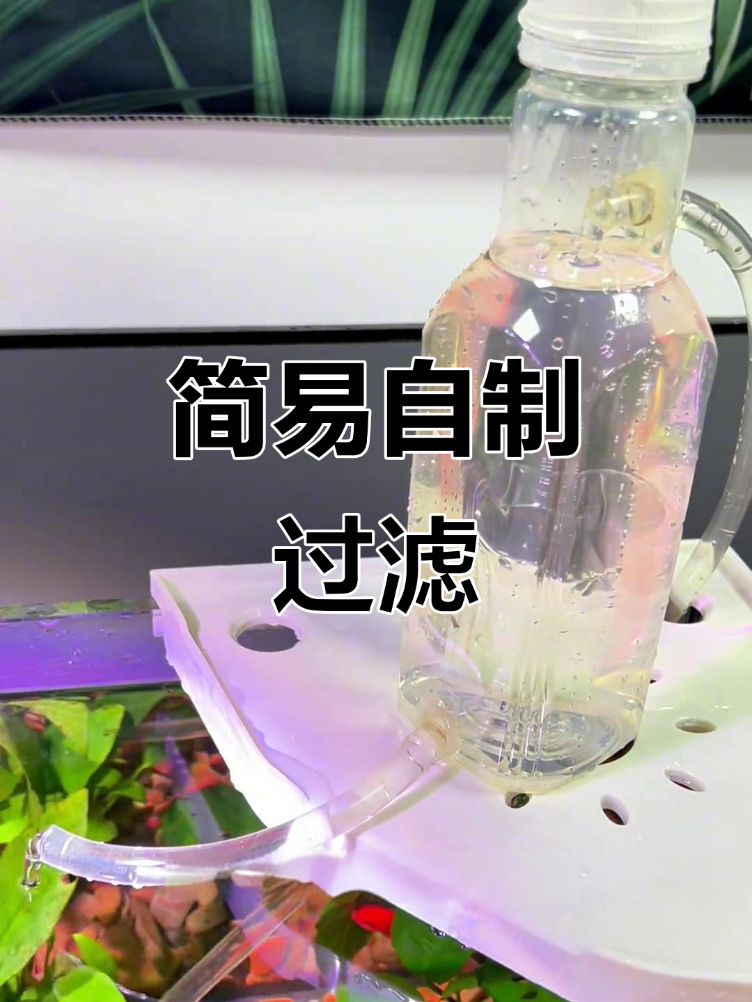 自制鱼缸过滤器,免水泵设计,简单又高效!