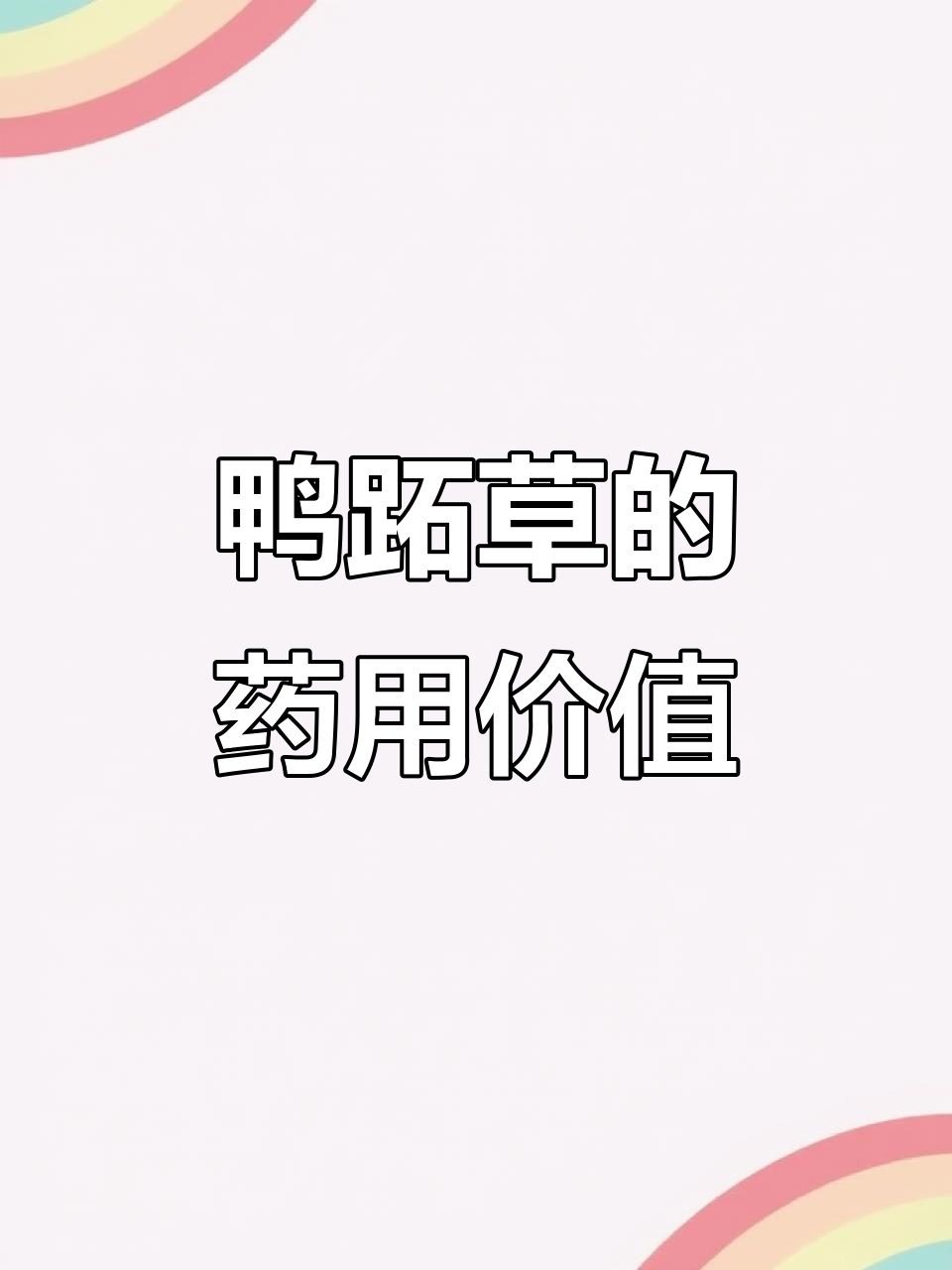 鸭跖草:从喂猪杂草到珍贵药材,竟有这么多功效!