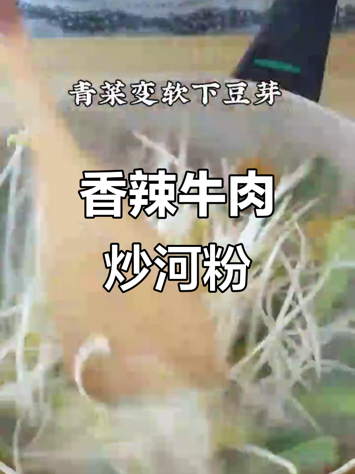 牛肉豆芽炒河粉,辣味十足的夜宵之王