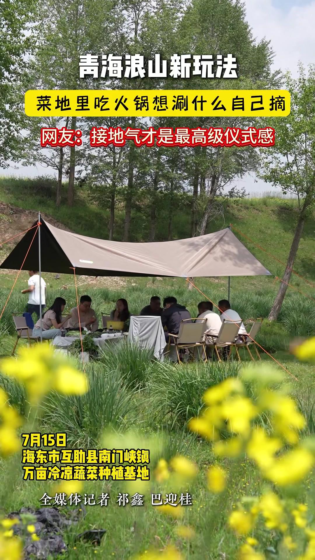 菜地里吃火锅想涮什么自己摘 浪山浪水浪海东 冷凉蔬菜 海东互助