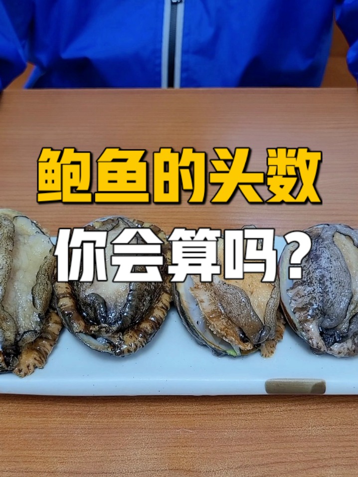鲍鱼头数冷知识!6头鲍是不是长了6个头?
