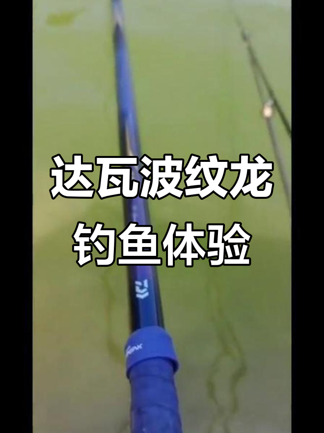 达瓦波纹龙钓竿,轻松挑战18斤大鱼!