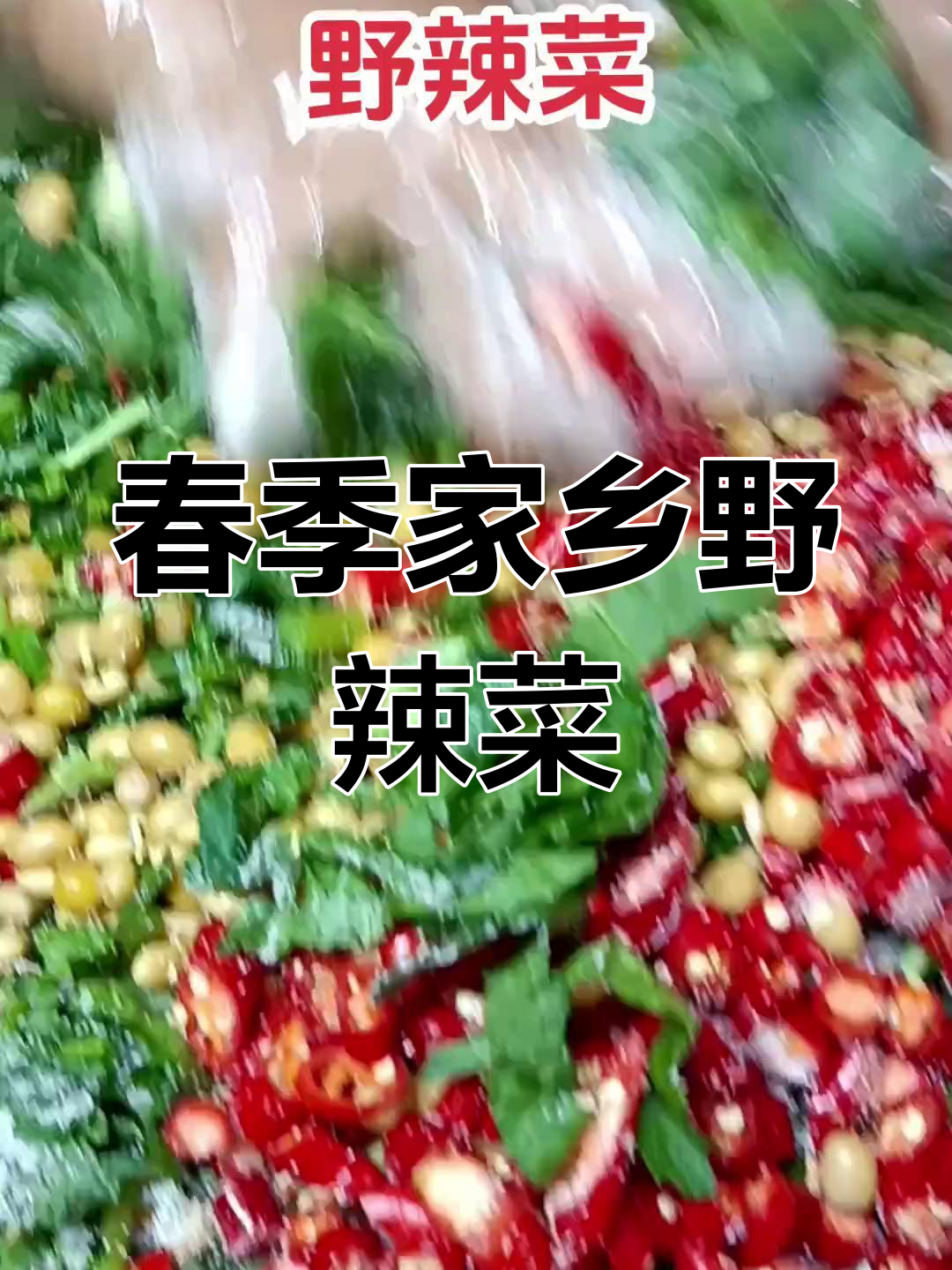 春天必吃家乡野辣菜,脆嫩爽口又开胃