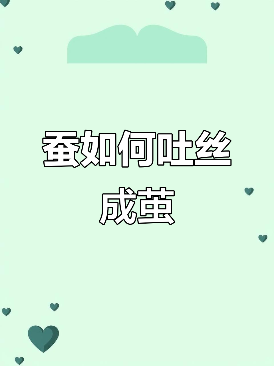 蚕的一生:从卵到吐丝结茧的奇妙过程