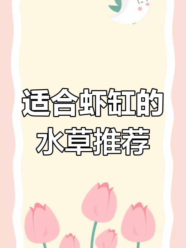 水草选择全攻略：最适合虾缸的莫斯与焦草解析