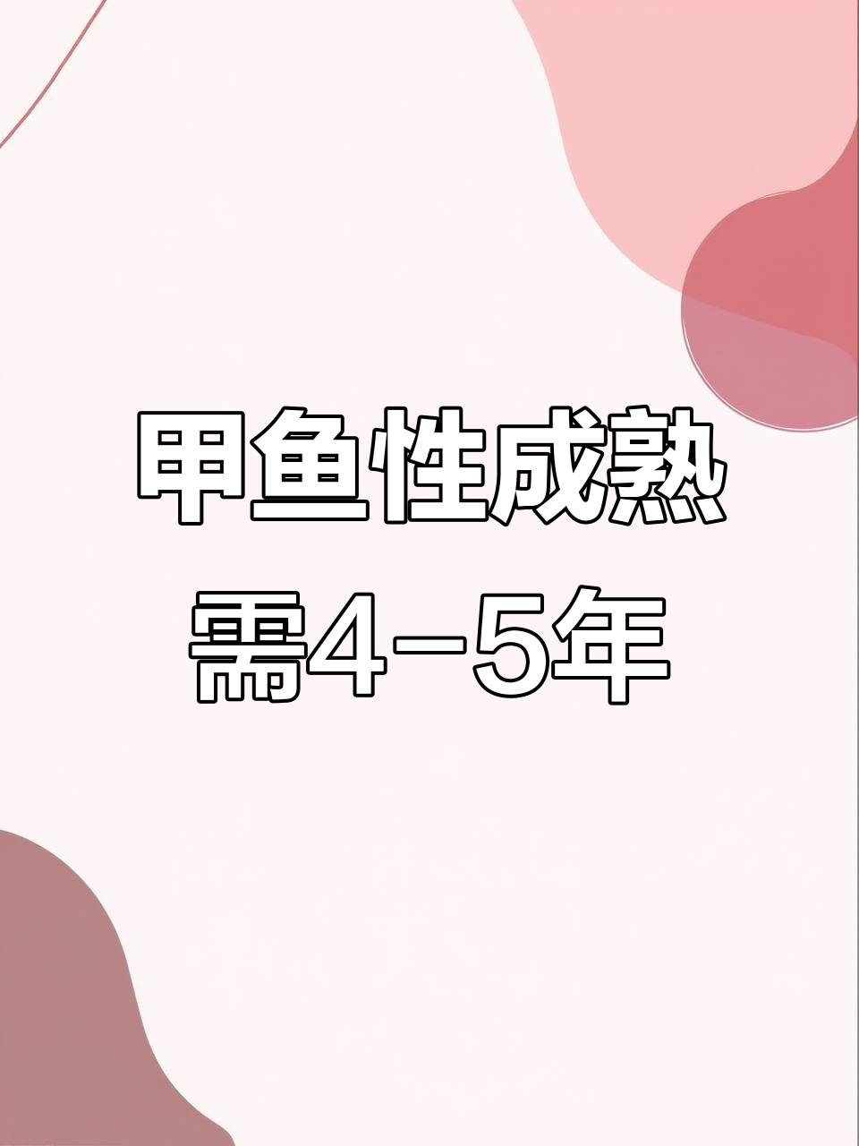 甲鱼4-5龄才能开始产卵,了解生长过程
