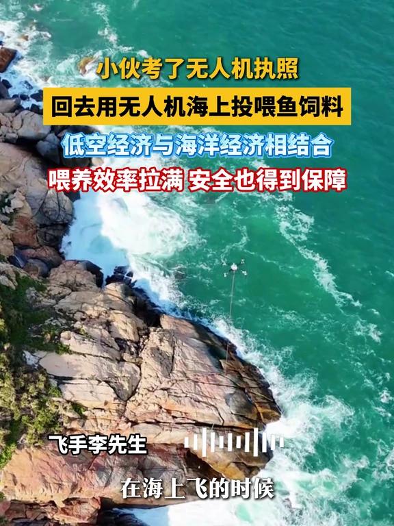 小伙用无人机海上投喂鱼饲料,效率拉满