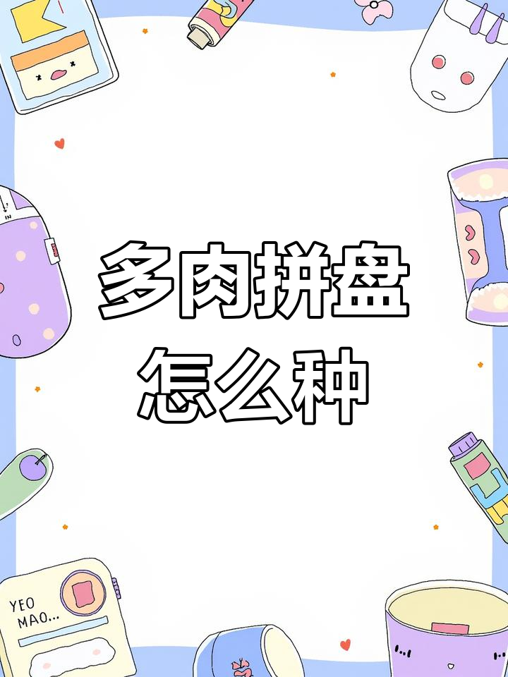 多肉拼盘种植技巧,轻松打造个性化花盆