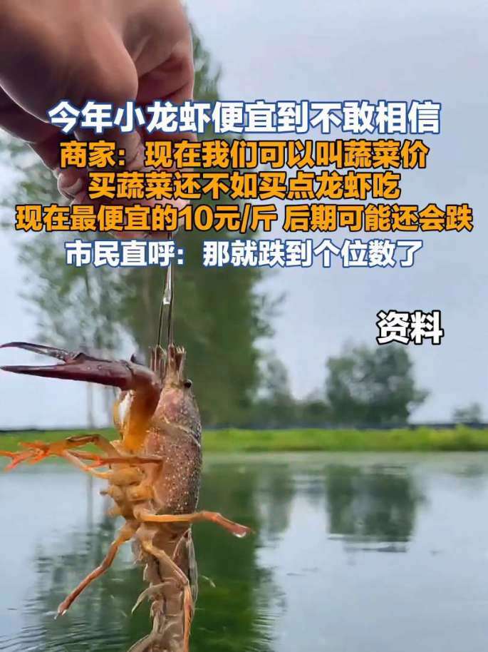 今年小龙虾便宜到不敢相信,商家:现在我们可以叫蔬菜价(来源:都市现场)