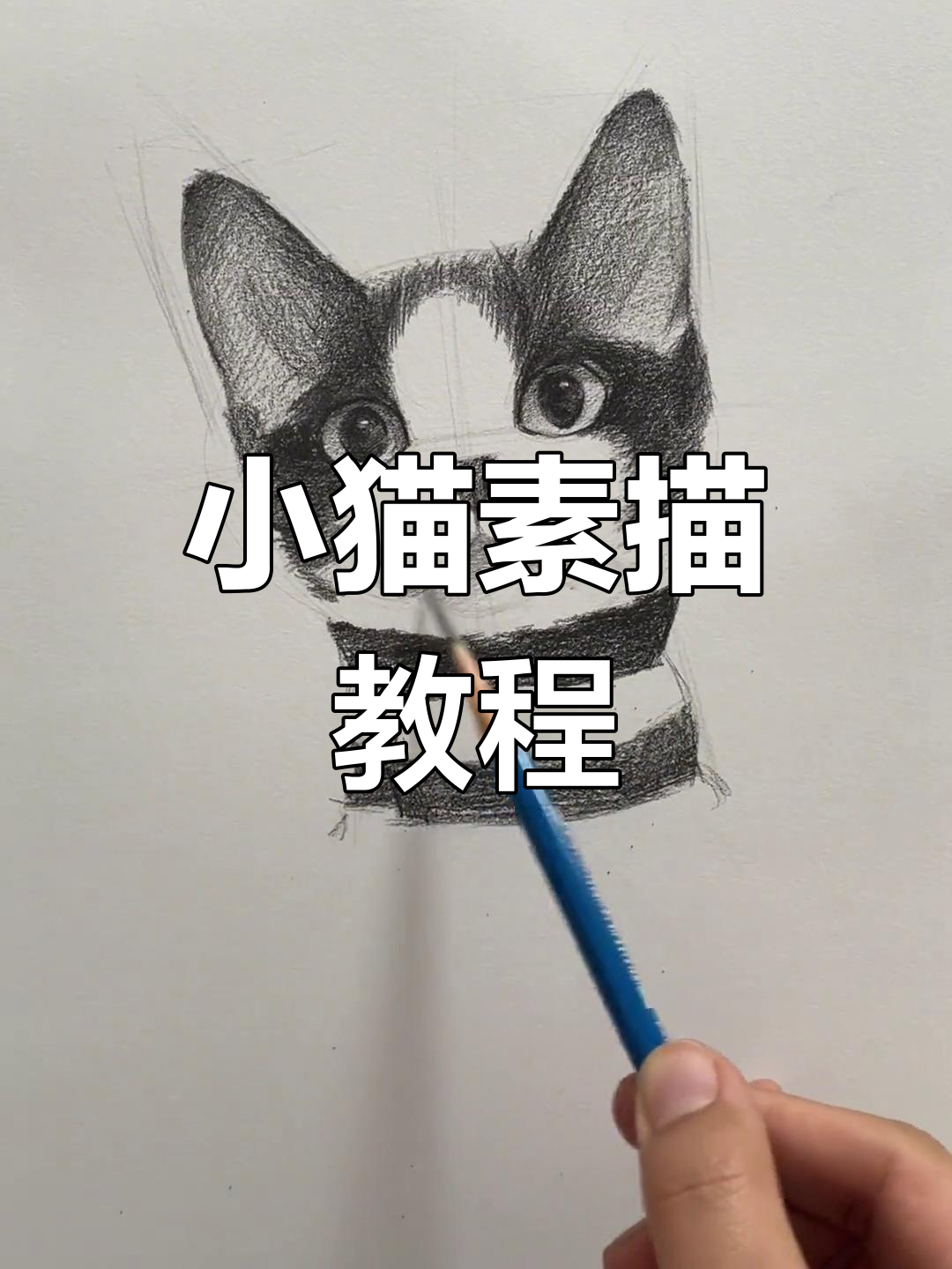素描小猫,简单又可爱!