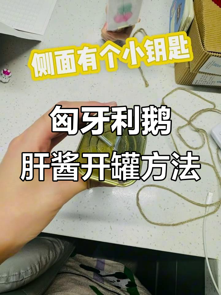 布达佩斯带回的匈牙利鹅肝酱,开罐技巧大揭秘