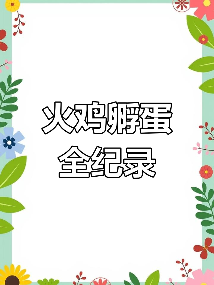 火鸡蛋孵化揭秘,两分钟带你见证小生命破壳瞬间!