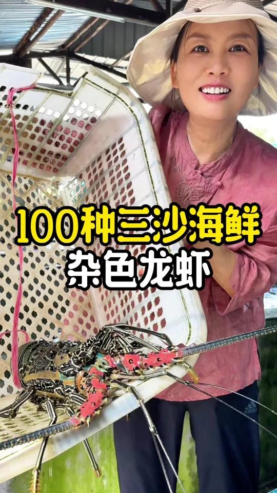 中国远海领土的野生龙虾,你认识吗