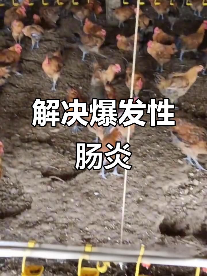 爆发性肠毒综合症:如何应对高发病率