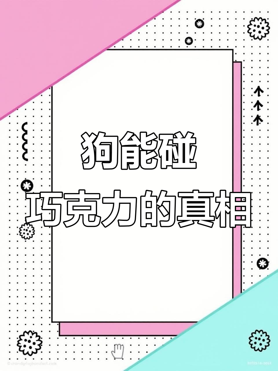 狗狗吃巧克力会致命?这些品种却没事