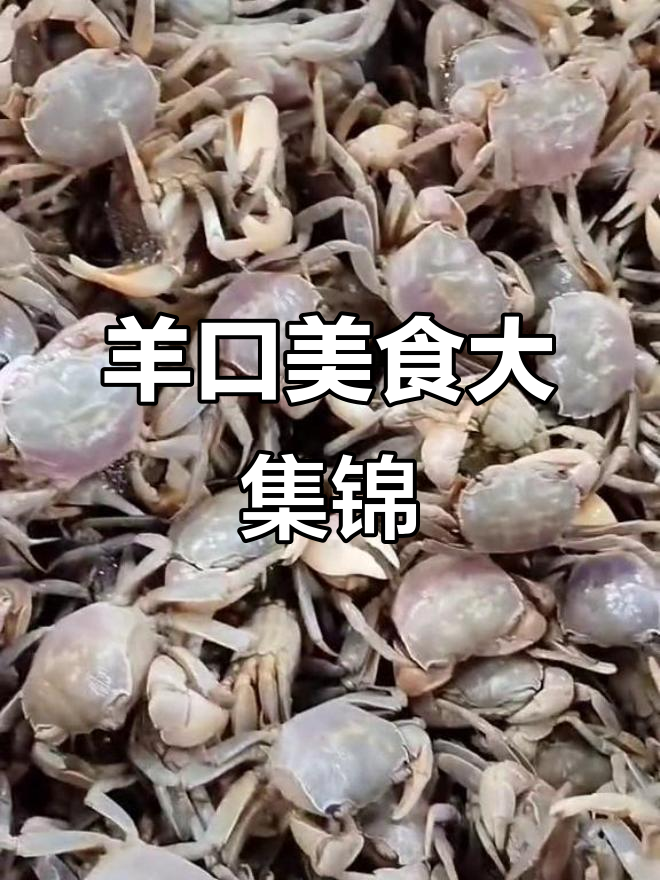 羊口老咸菜、虾油萝卜等美味赶会,鲅鱼干光鱼干齐登场