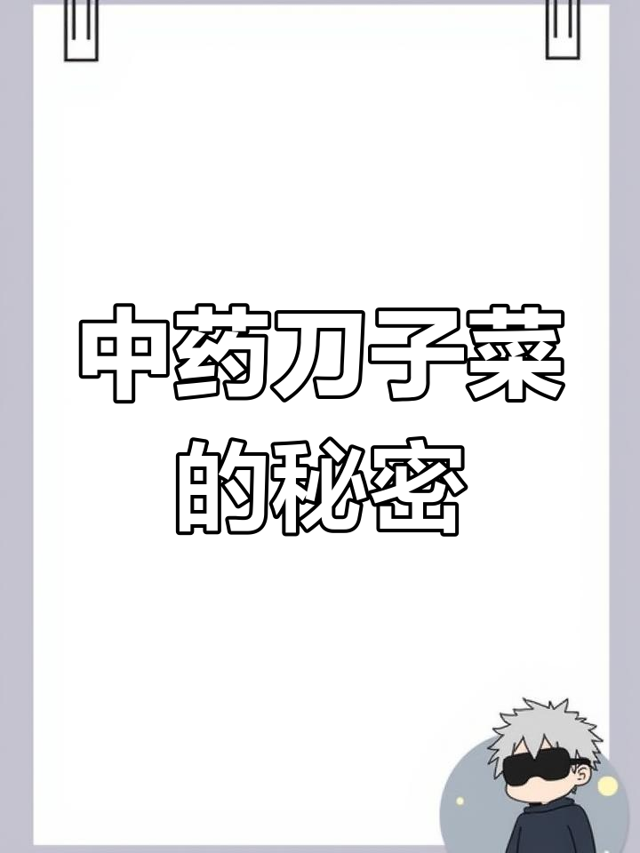 刀子菜:一种你可能不知道的中药宝藏