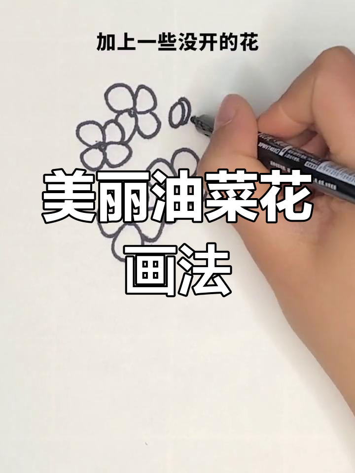 油菜花简笔画，简单又好看！