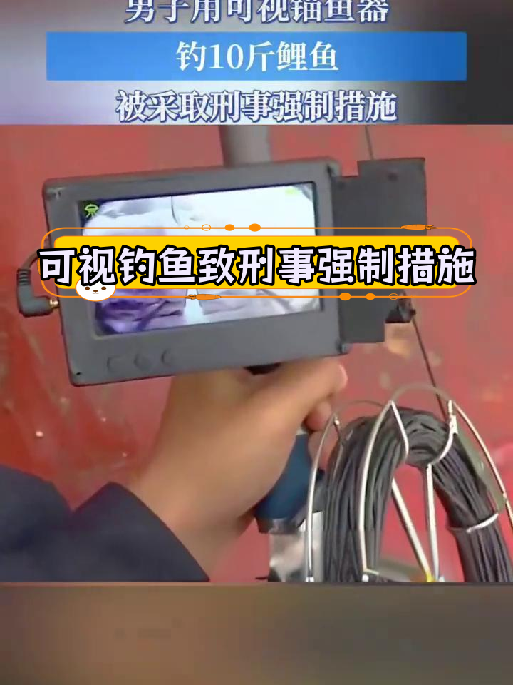 男子用可视锚鱼器钓大鲤鱼,因违规被捕