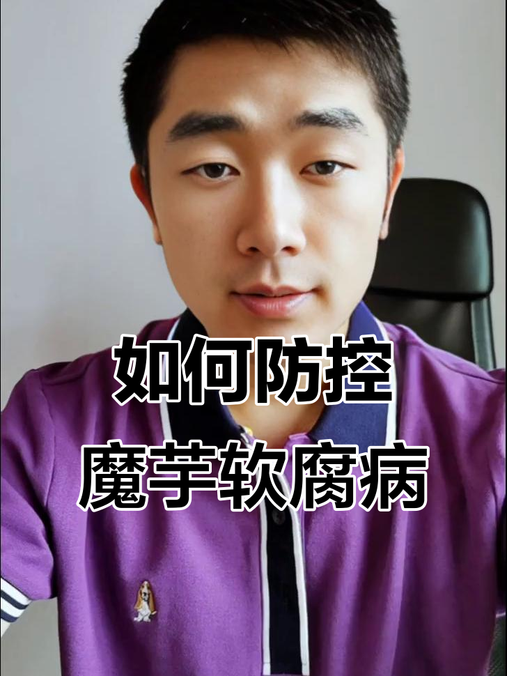 魔芋软腐病防治全攻略,从选种到收获全程管理