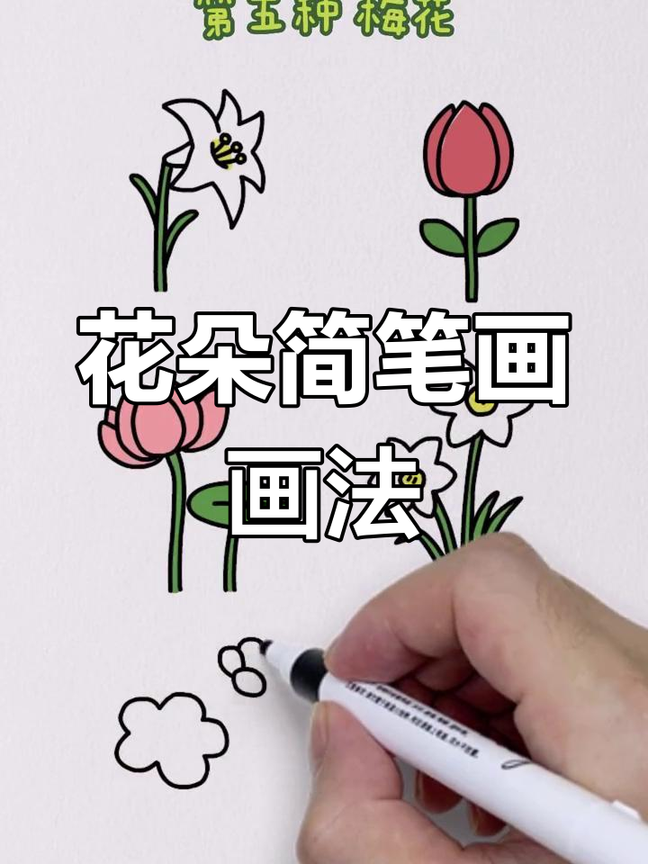 从易到难,轻松掌握各种花朵简笔画。零基础也能学会!