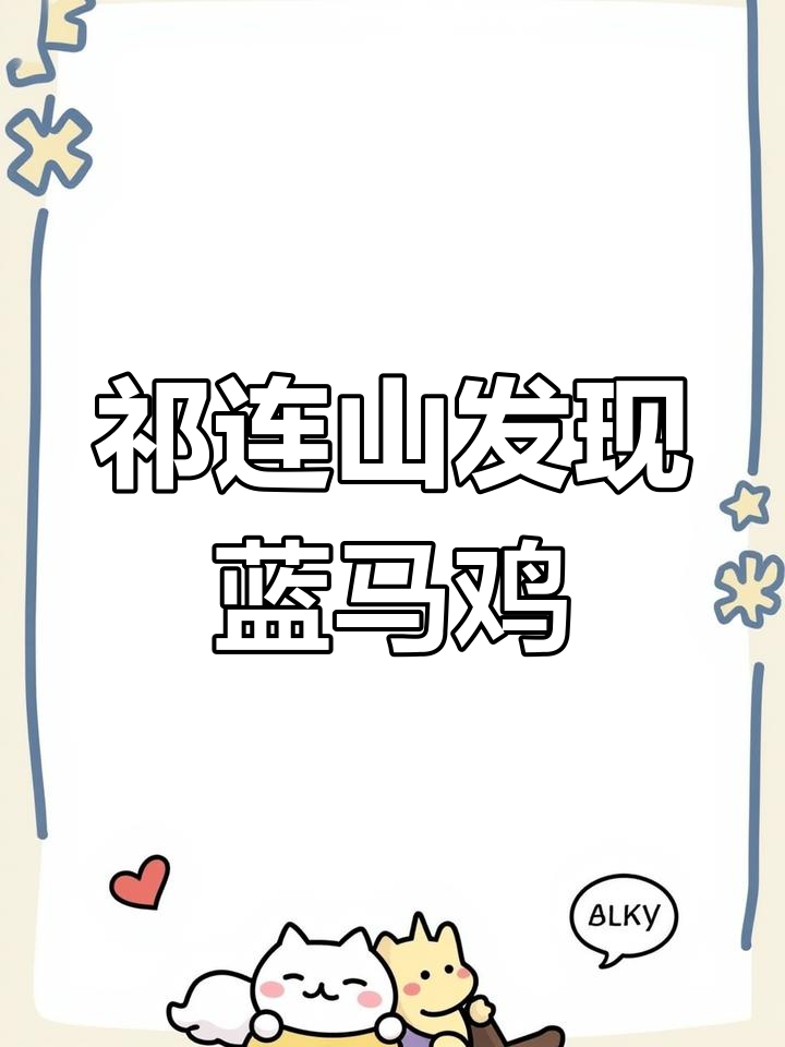 祁连山现身珍稀蓝马鸡,国家二级保护动物亮相