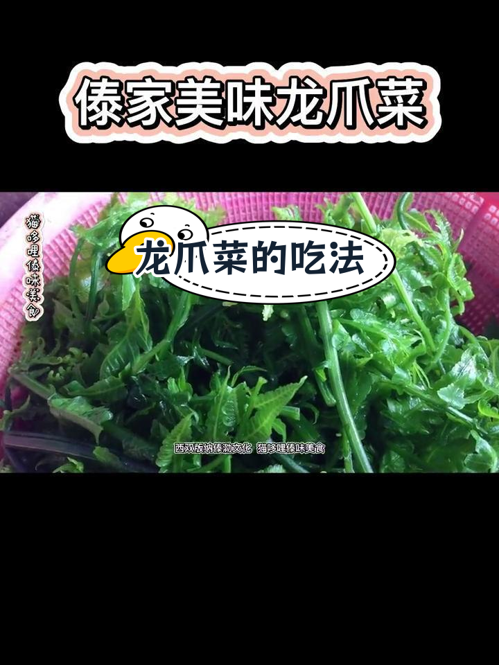 西双版纳原生态龙爪菜,番茄豆豉炒法最美味