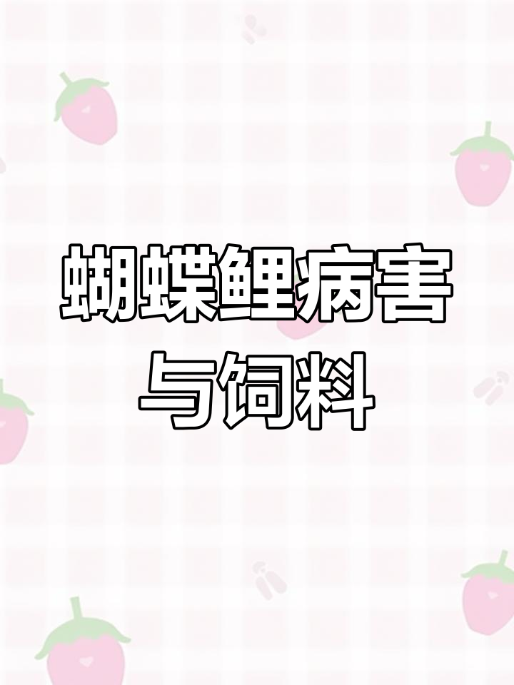蝴蝶鲤鱼体表病症与饲料选择的关系