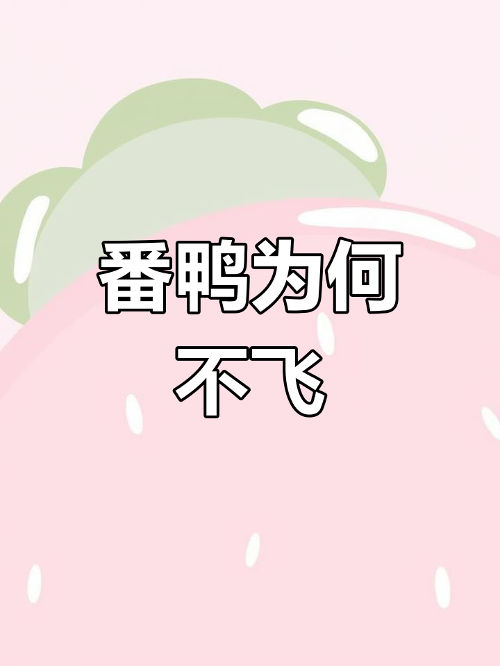 为什么番鸭飞不起来?
