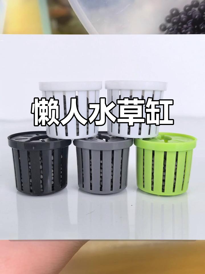 水草泥+固定盖,轻松打造生态鱼缸,秒变造景大师