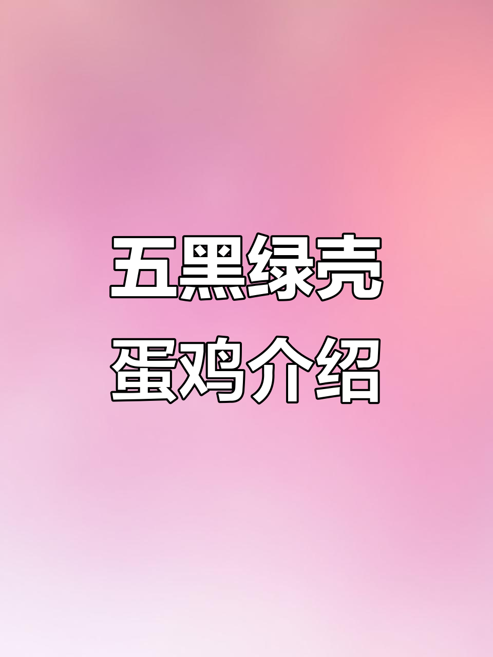 五黑绿壳蛋鸡:独特五黑特征,绿色鸡蛋更健康