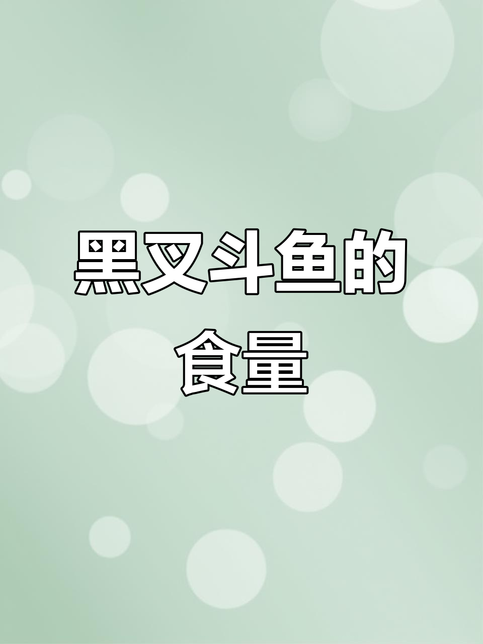 黑叉斗鱼吃饲料的速度惊人,成长迅速!