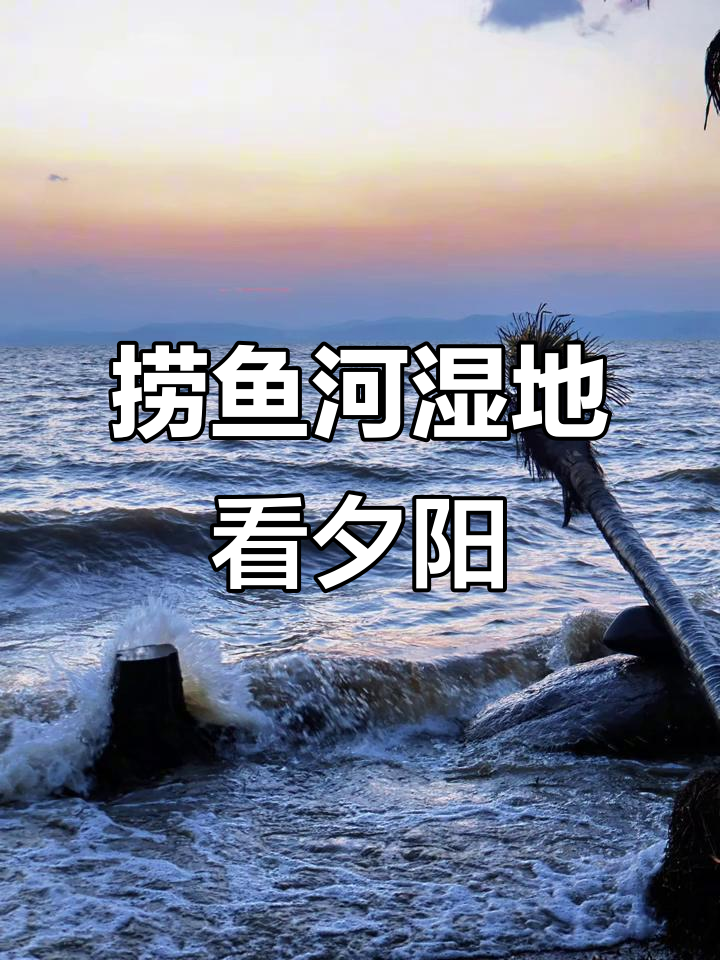 昆明捞鱼河湿地公园日落全攻略，轻松打卡海鸥与美景