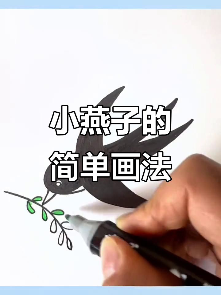 春天小燕子简笔画,涂色教程