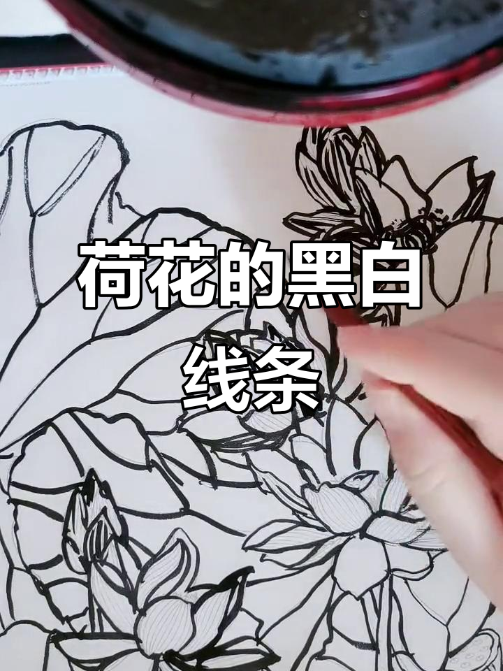 黑白线描画:荷花荷叶的乱涂乱画日常
