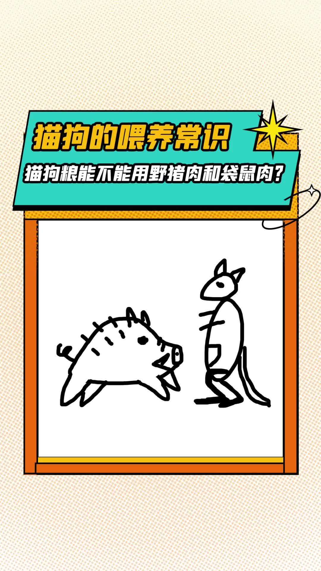 猫狗粮能不能用野猪肉和鸵鸟肉?科学养宠攻略 猫粮 狗粮