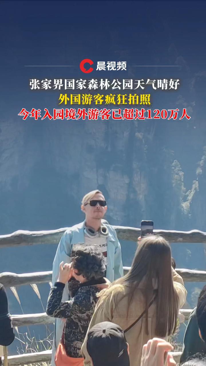 张家界国家森林公园天气晴好,外国游客疯狂拍照,今年入园境外游客已超120万人