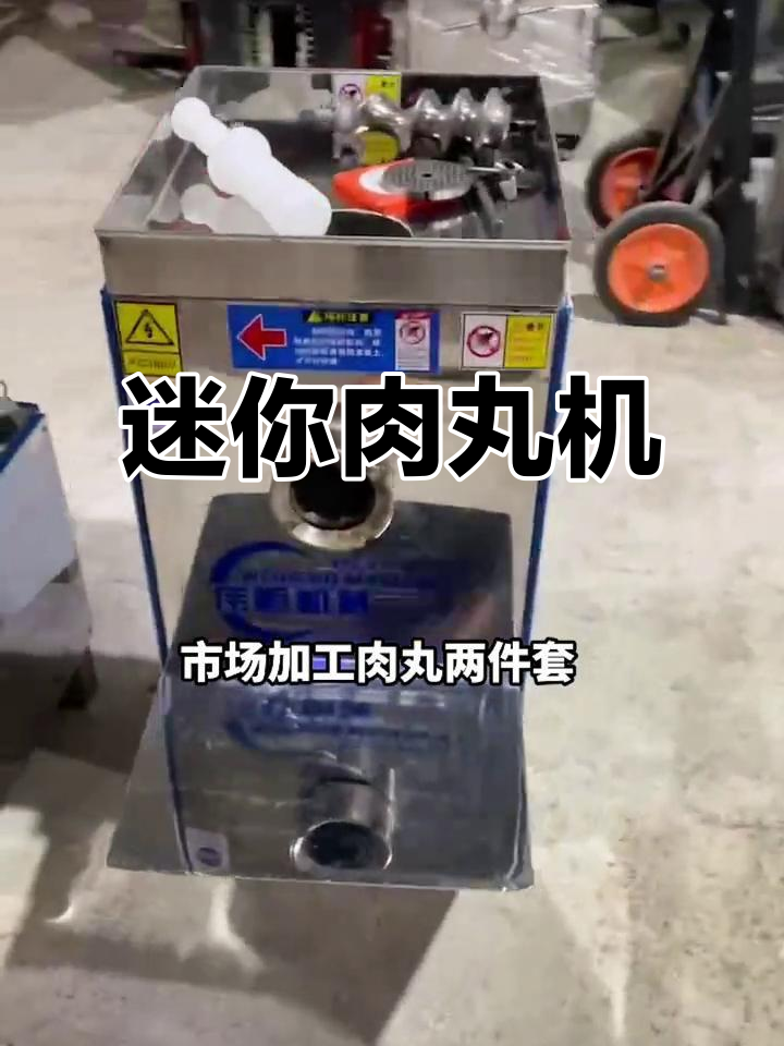 小型肉丸机,绞肉打浆一体,定制非标设备