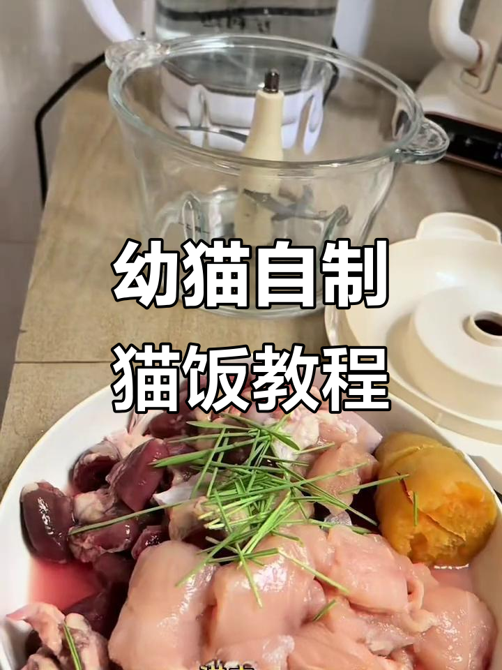 自制猫饭全攻略，轻松做出健康胖嘟嘟小猫