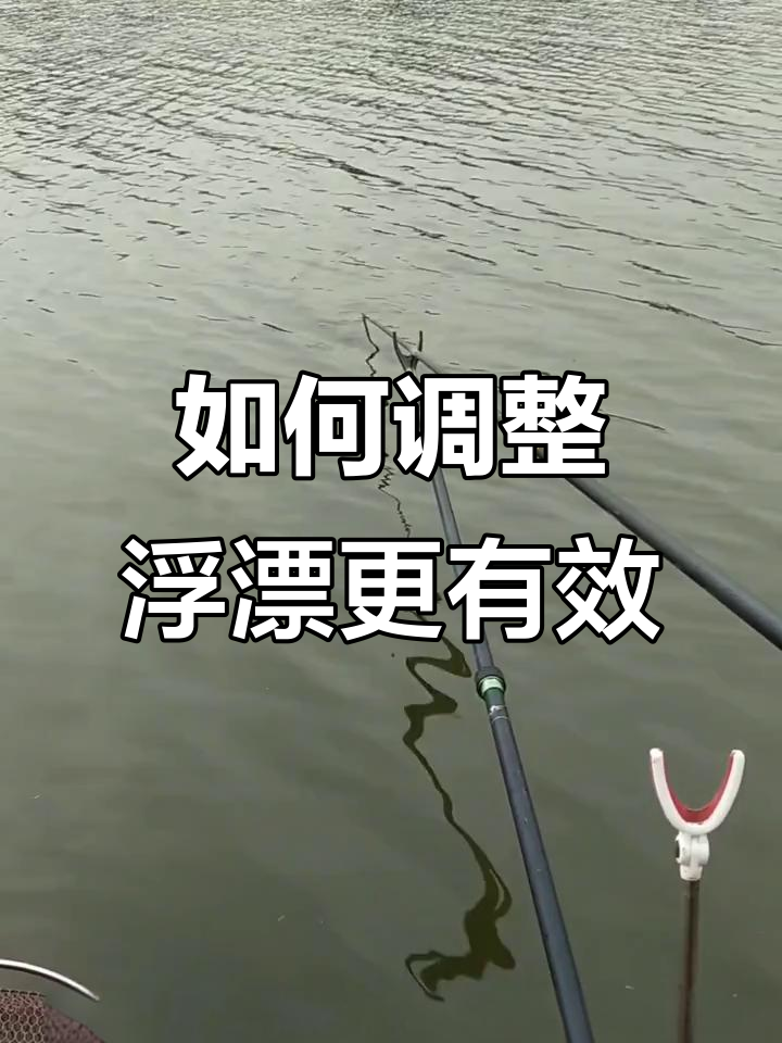 夏季钓鱼浮漂调零还是钝?从水情、鱼口和挂钩位置判断