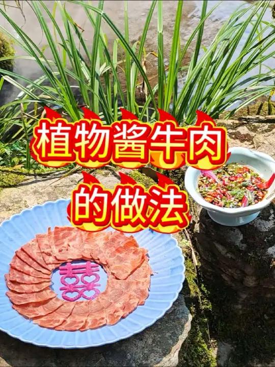 3分钟学会一道特色菜 这款植物酱牛肉是用大豆蛋白做的,蛋白质丰富,富含膳食纤维和各种人体所