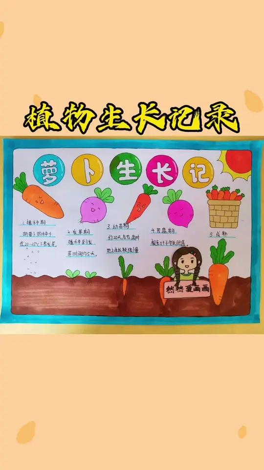 植物生长记录之胡萝卜生长记,有线稿可打印 手抄报模板 用尺子画手抄报 主页取图