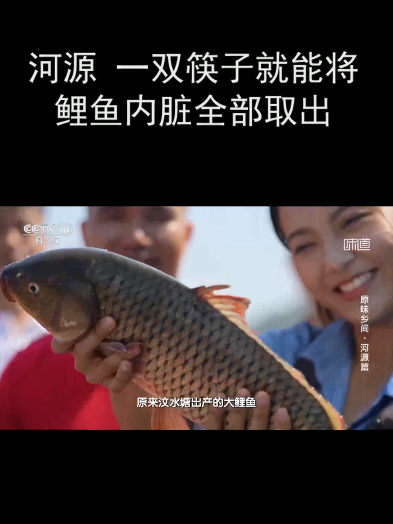 河源:一双筷子就能将鲤鱼内脏全部取出