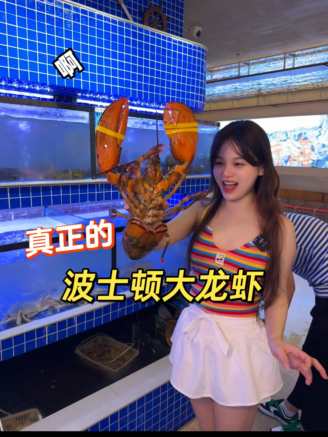 398元/斤的波士顿大龙虾居然这个味道?!