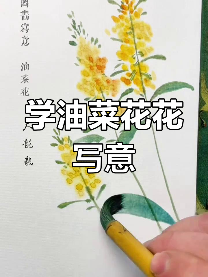 油菜花写意画,轻松学会国画技巧