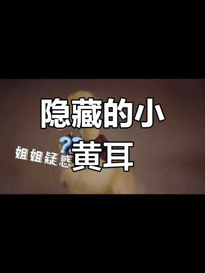 小黄鸭的秘密耳朵