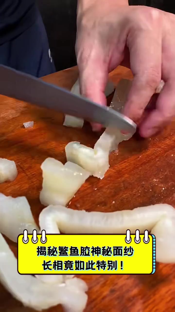揭秘鳘鱼胶神秘面纱,长相竟如此特别!